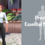 Animating Healthy Eating Habits: A Step-by-Step Guide Using AniFuzion